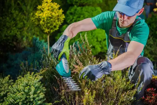 landscaping services Miller